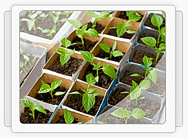 Büyütmek İçin Tıklayınız Highslide JS