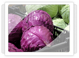 Morlahana Fidesi Üretimi